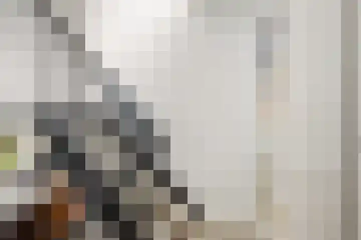 Tolhuis 2028 Nijmegen thumbnail 15