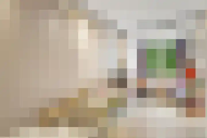 Tolhuis 2028 Nijmegen thumbnail 26