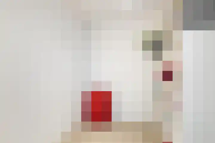 Tolhuis 2028 Nijmegen thumbnail 27