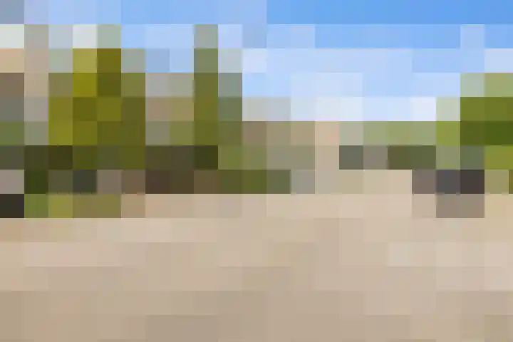 Tolhuis 2028 Nijmegen thumbnail 28