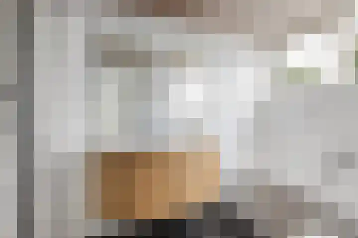 Tolhuis 2028 Nijmegen thumbnail 30