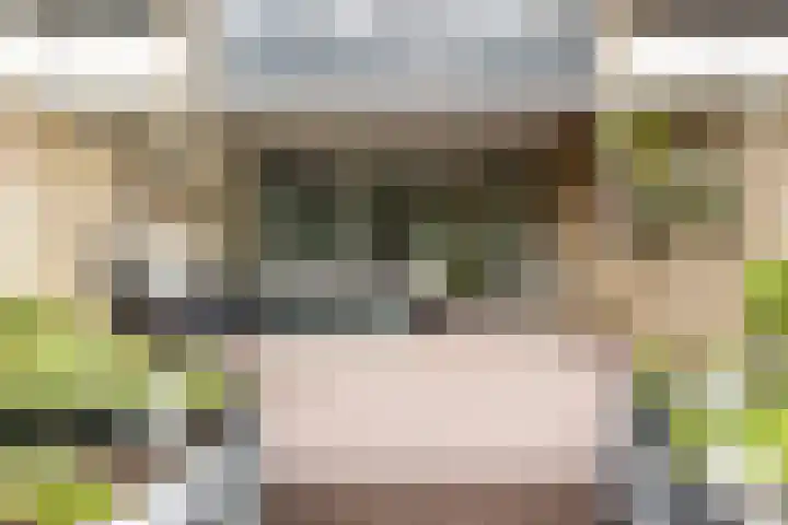 Tolhuis 2028 Nijmegen thumbnail 31