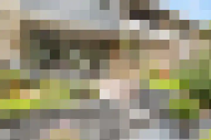 Tolhuis 2028 Nijmegen thumbnail 32