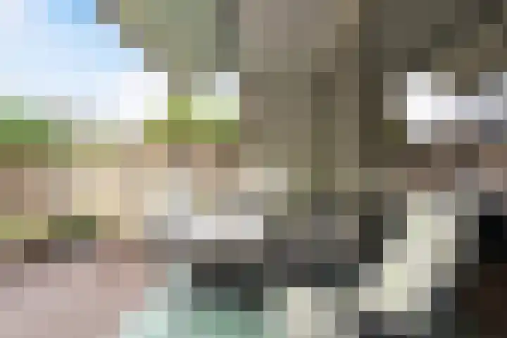 Tolhuis 2028 Nijmegen thumbnail 33