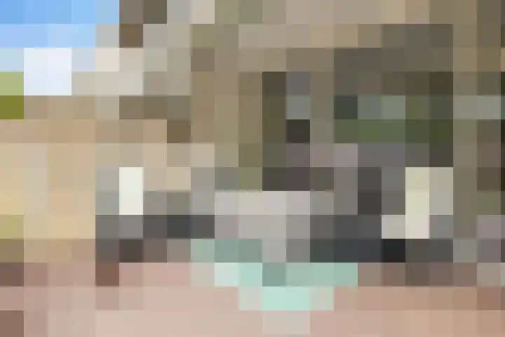 Tolhuis 2028 Nijmegen thumbnail 34