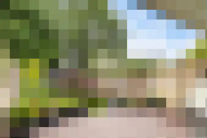 Tolhuis 2028 Nijmegen thumbnail 35