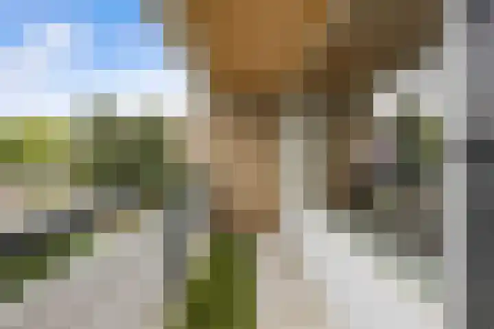 Tolhuis 2028 Nijmegen thumbnail 36