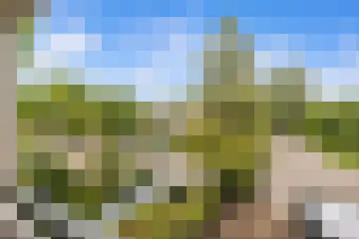 Tolhuis 2028 Nijmegen thumbnail 37