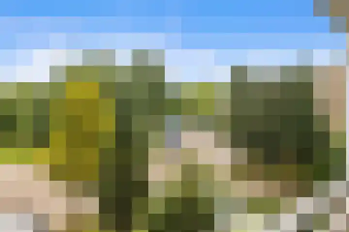 Tolhuis 2028 Nijmegen thumbnail 38