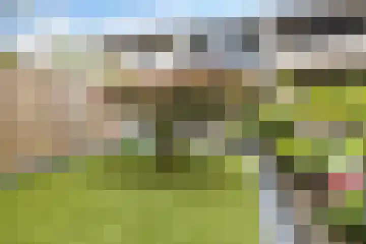 Tolhuis 2028 Nijmegen thumbnail 39