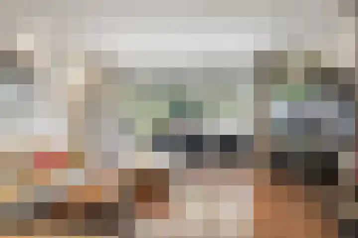 Tolhuis 2028 Nijmegen thumbnail 4