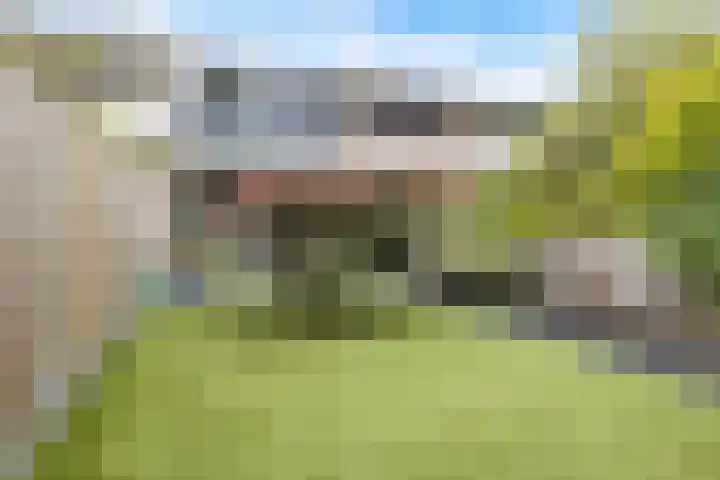 Tolhuis 2028 Nijmegen thumbnail 40