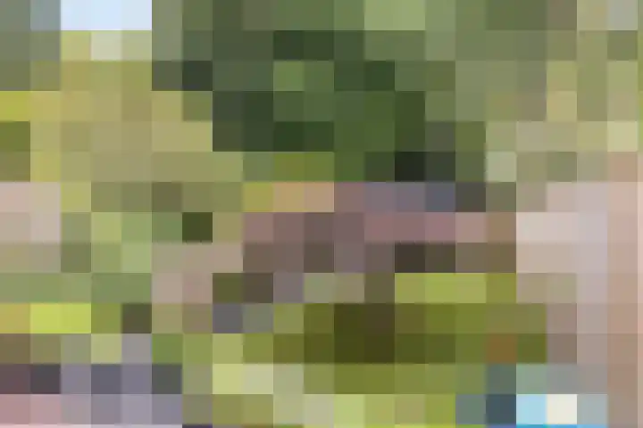 Tolhuis 2028 Nijmegen thumbnail 41