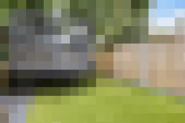 Tolhuis 2028 Nijmegen thumbnail 42