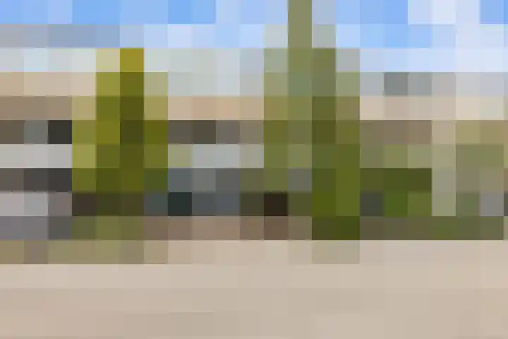 Tolhuis 2028 Nijmegen thumbnail 44