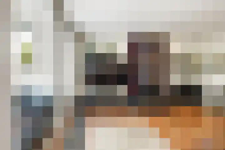 Tolhuis 2028 Nijmegen thumbnail 5