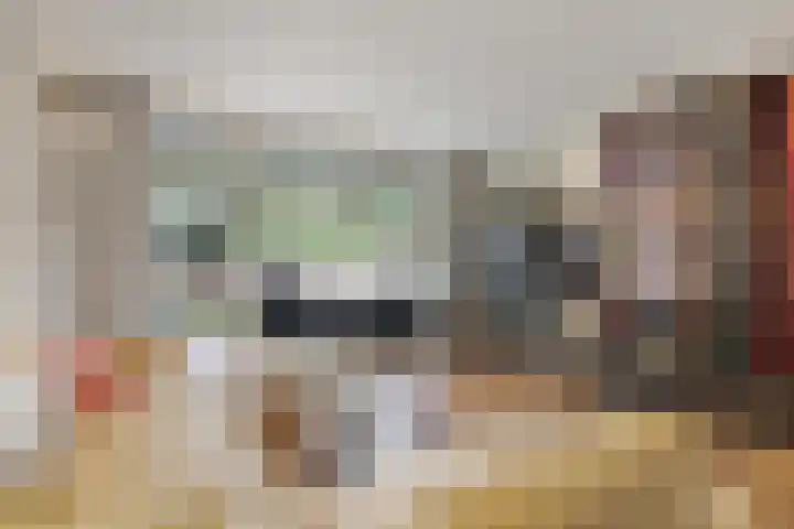 Tolhuis 2028 Nijmegen thumbnail 6