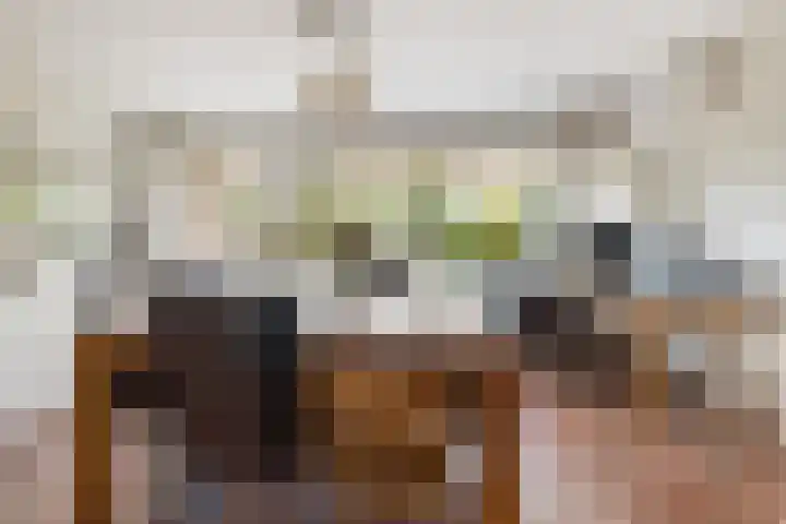 Tolhuis 2028 Nijmegen thumbnail 7