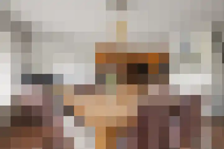Tolhuis 2028 Nijmegen thumbnail 8