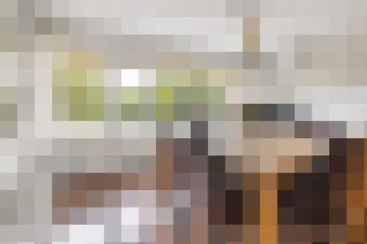 Tolhuis 2028 Nijmegen thumbnail 9