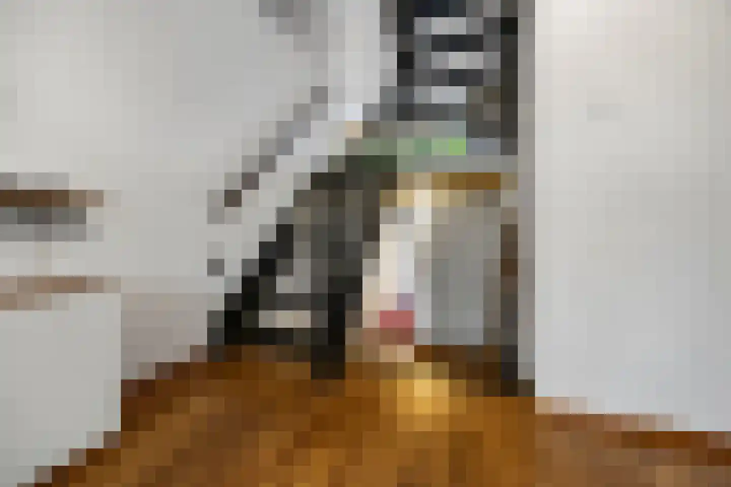 Tolhuis 2078 Nijmegen thumbnail 10