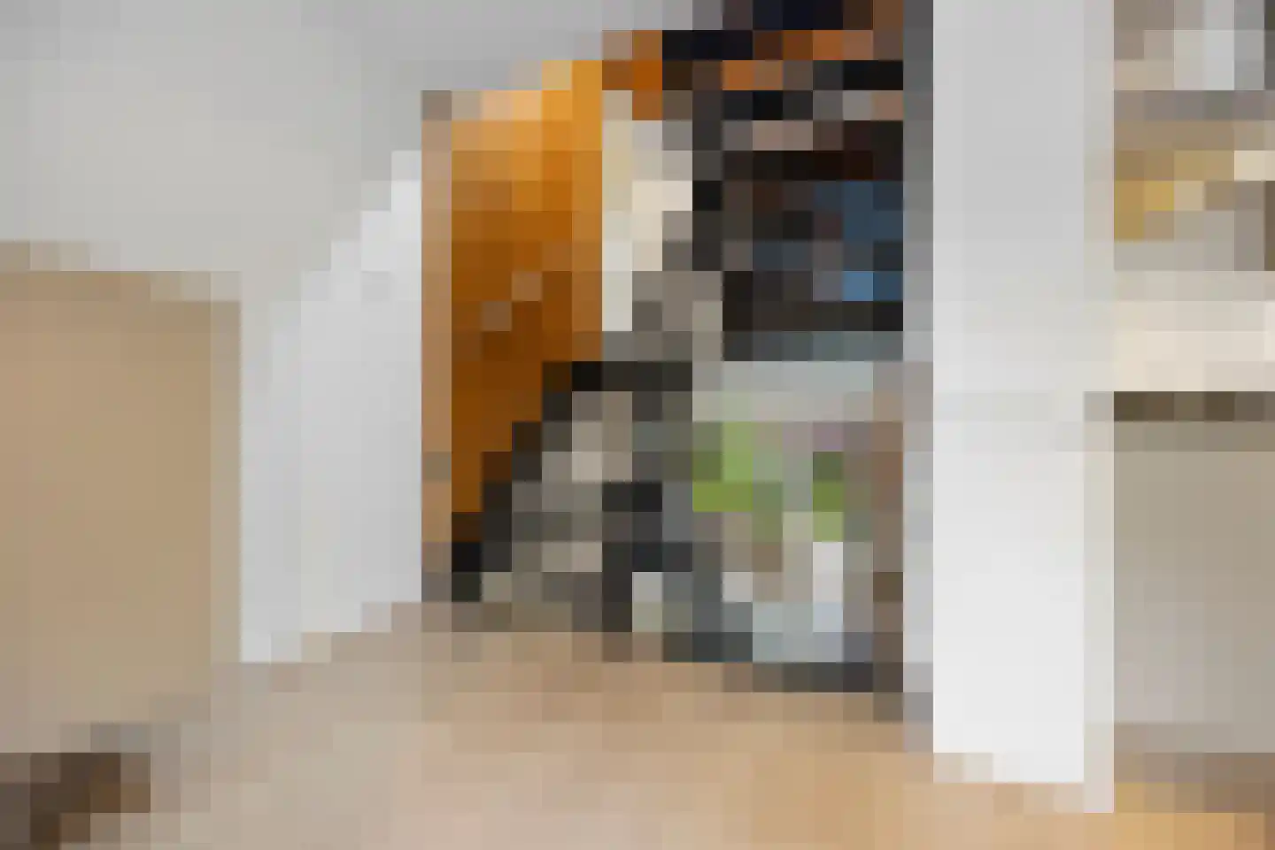Tolhuis 2078 Nijmegen thumbnail 11