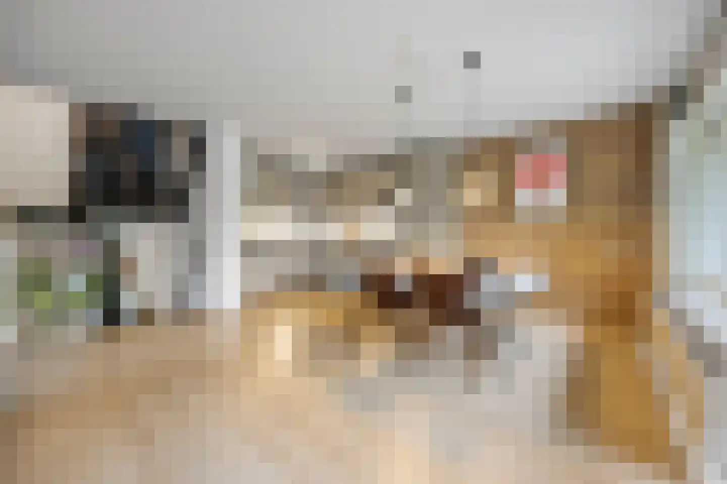 Tolhuis 2078 Nijmegen thumbnail 13