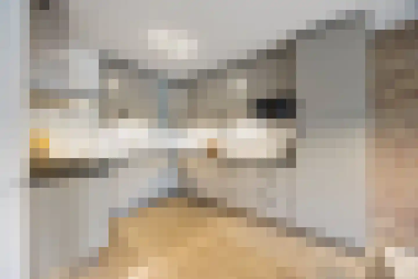 Tolhuis 2078 Nijmegen thumbnail 14