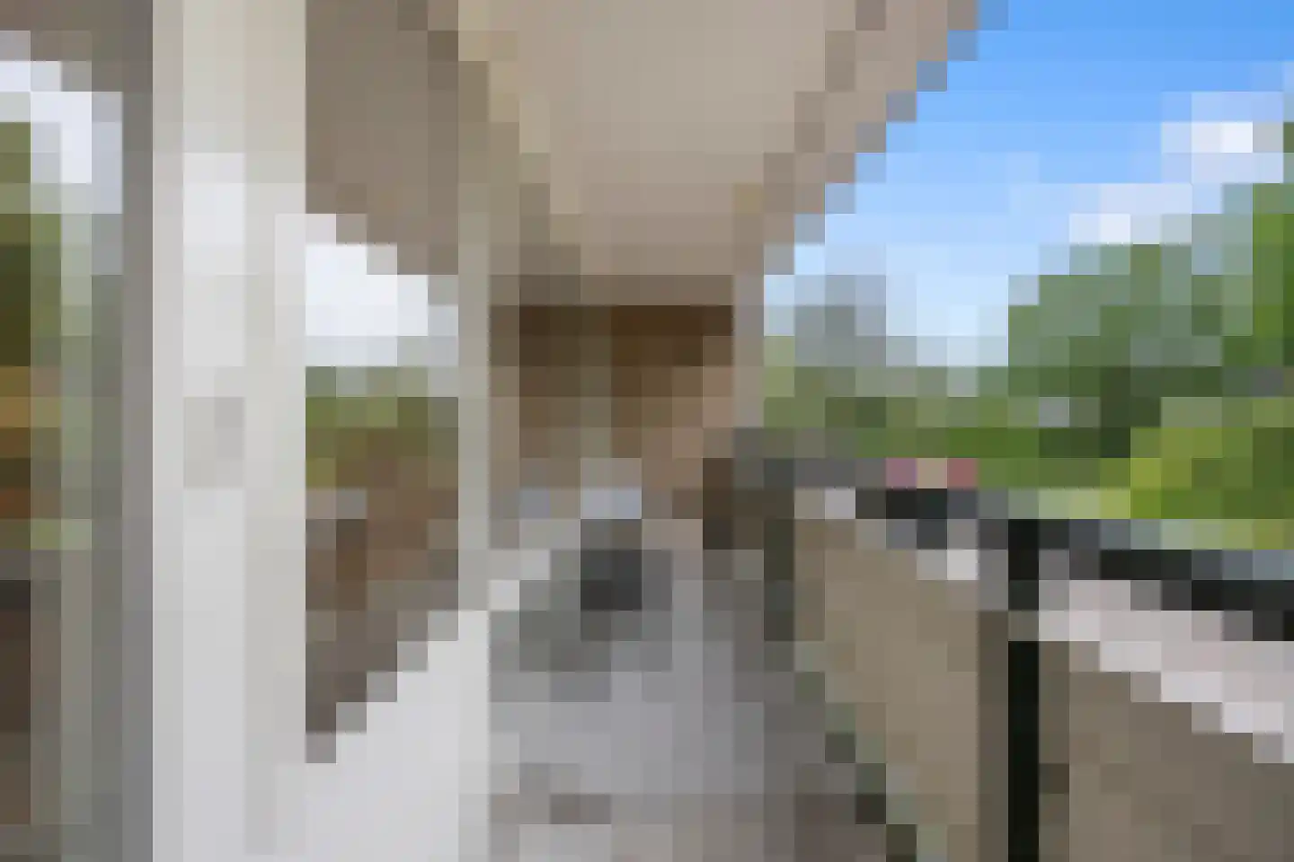 Tolhuis 2078 Nijmegen thumbnail 18