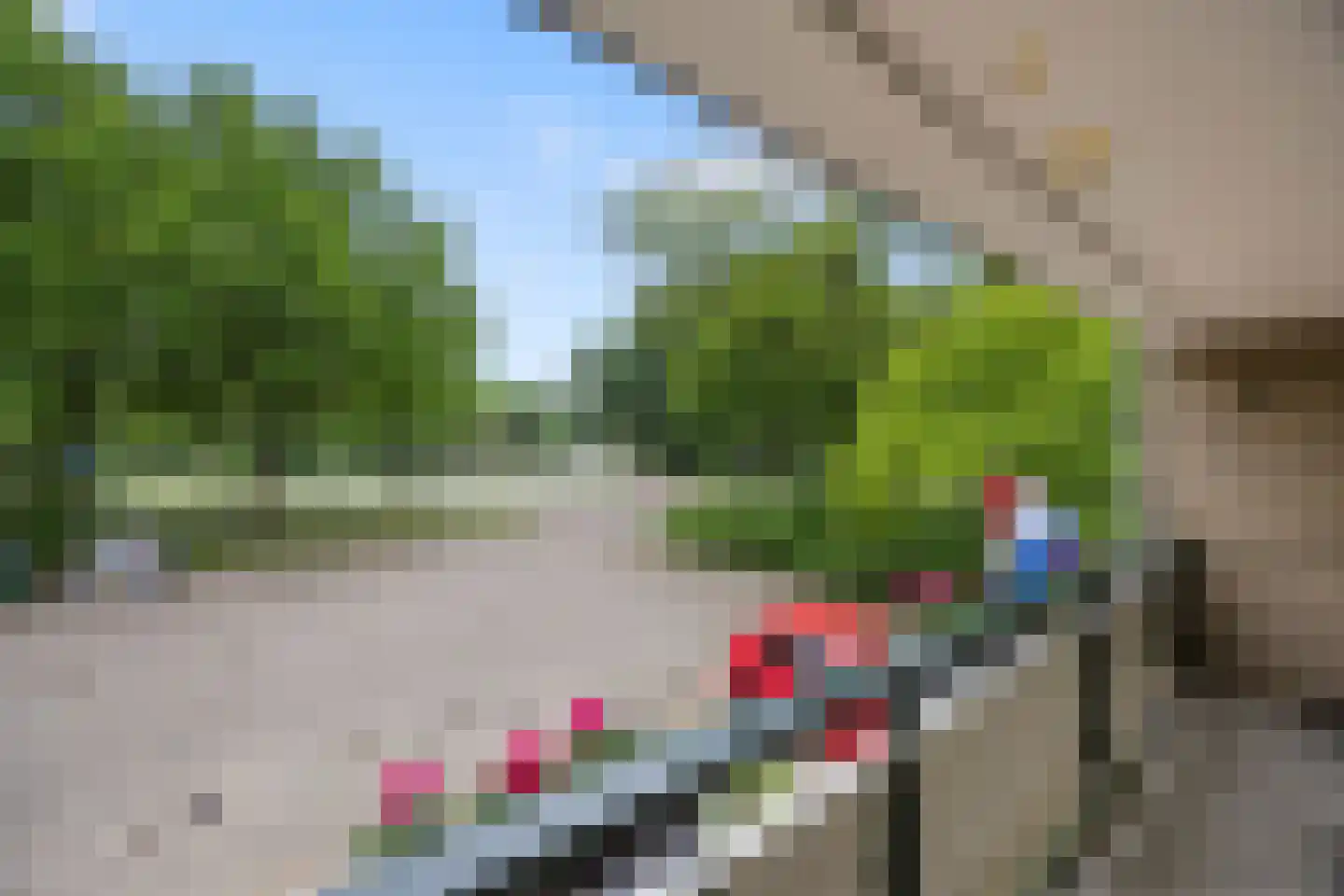 Tolhuis 2078 Nijmegen thumbnail 19