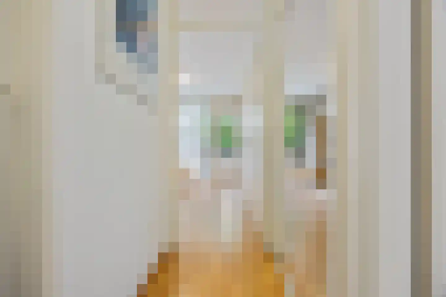 Tolhuis 2078 Nijmegen thumbnail 20