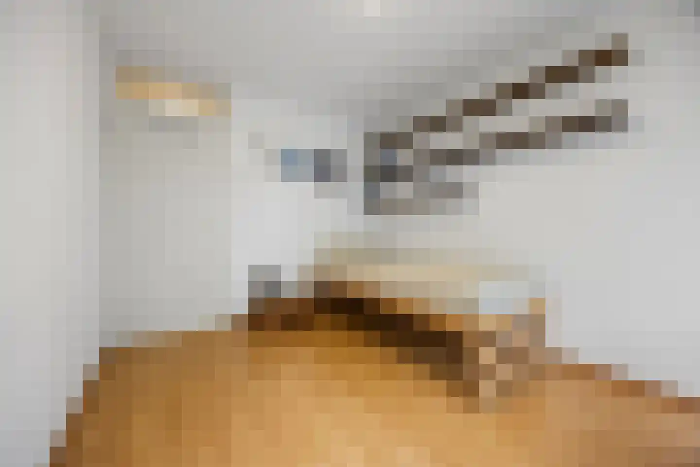 Tolhuis 2078 Nijmegen thumbnail 22
