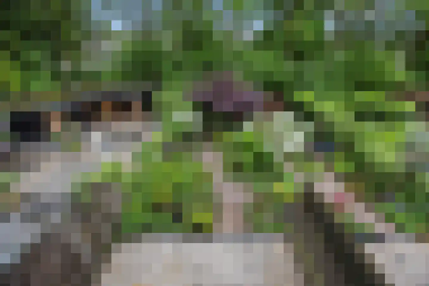 Tolhuis 2078 Nijmegen thumbnail 27