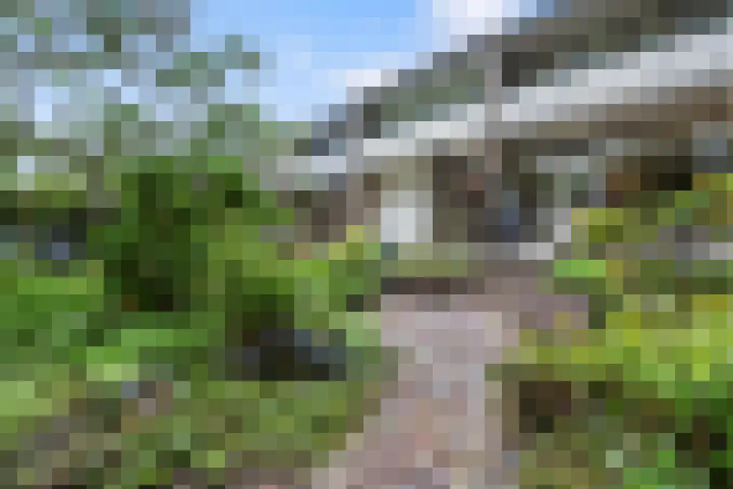 Tolhuis 2078 Nijmegen thumbnail 4