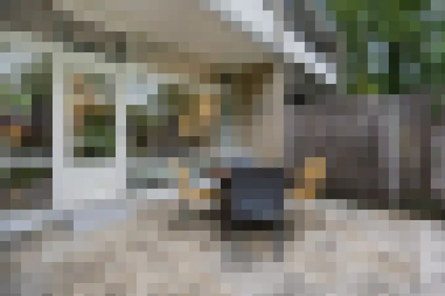 Tolhuis 2078 Nijmegen thumbnail 40