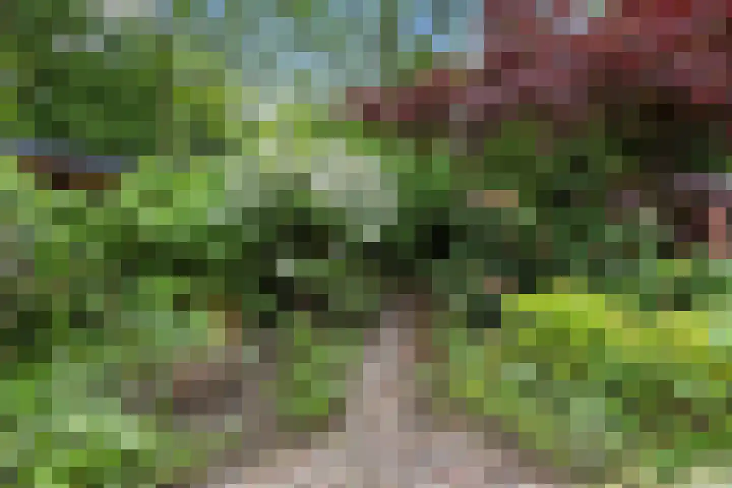 Tolhuis 2078 Nijmegen thumbnail 41