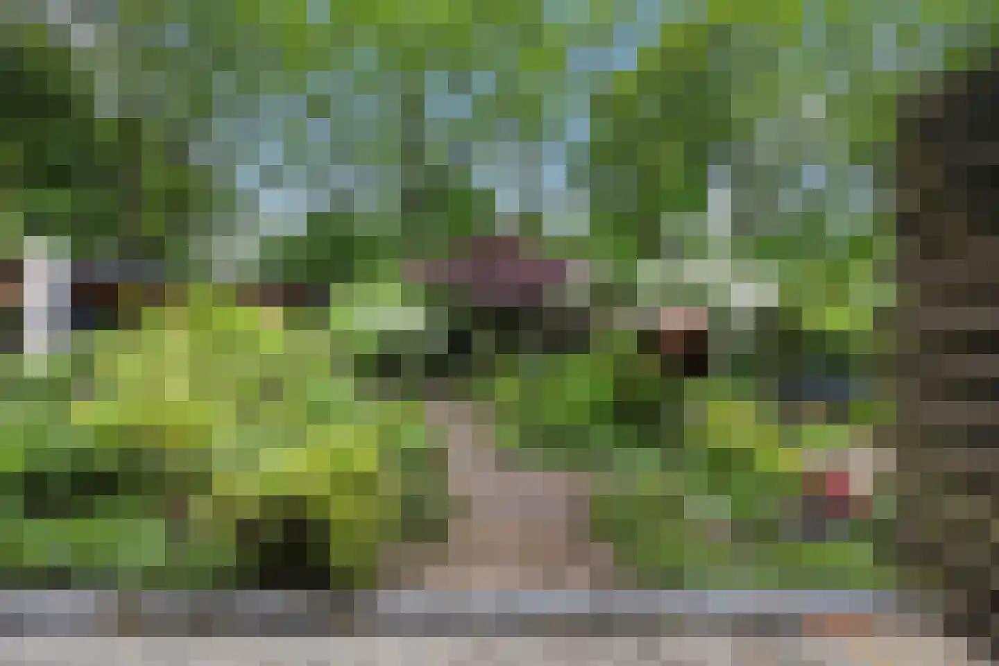 Tolhuis 2078 Nijmegen thumbnail 42