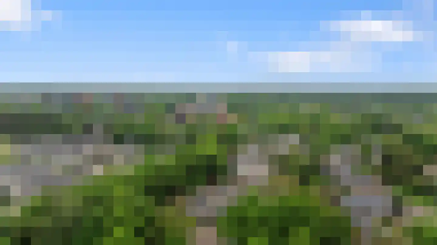 Tolhuis 2078 Nijmegen thumbnail 50