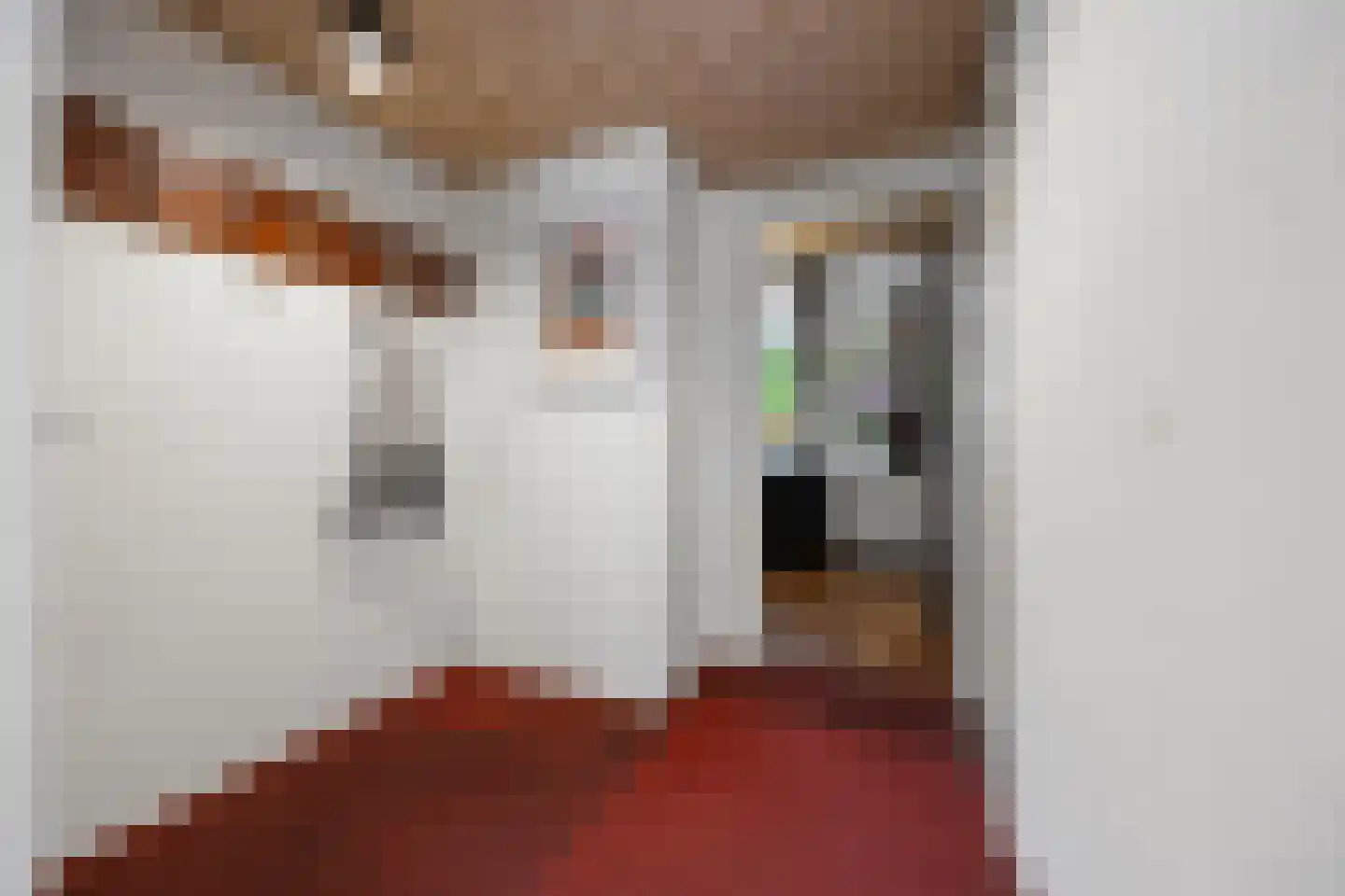 Tolhuis 2078 Nijmegen thumbnail 6