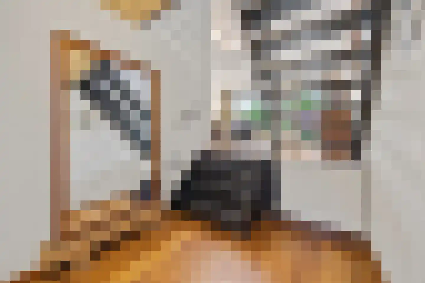 Tolhuis 2078 Nijmegen thumbnail 7