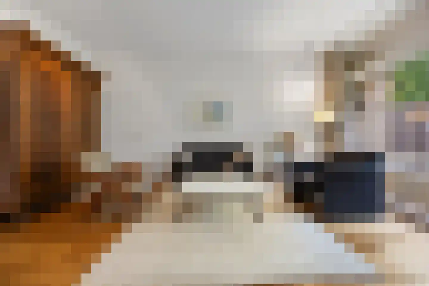 Tolhuis 2078 Nijmegen thumbnail 8