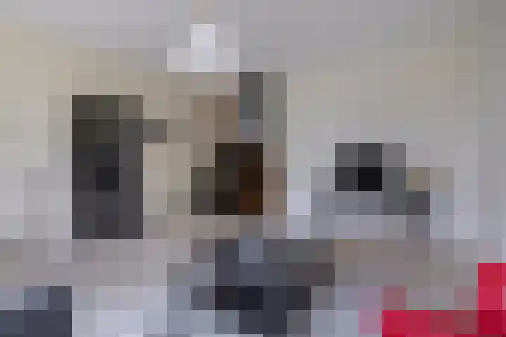 Tolhuis 2110 Nijmegen thumbnail 10
