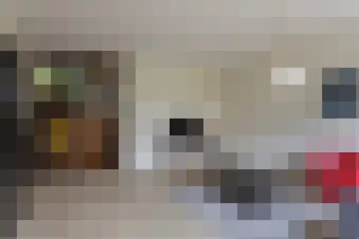 Tolhuis 2110 Nijmegen thumbnail 11