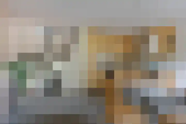 Tolhuis 2110 Nijmegen thumbnail 14