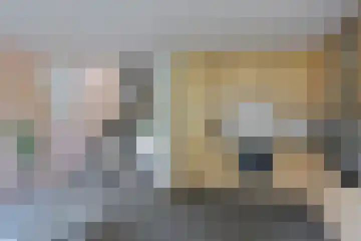 Tolhuis 2110 Nijmegen thumbnail 16
