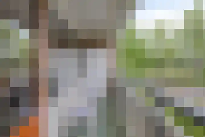 Tolhuis 2110 Nijmegen thumbnail 17