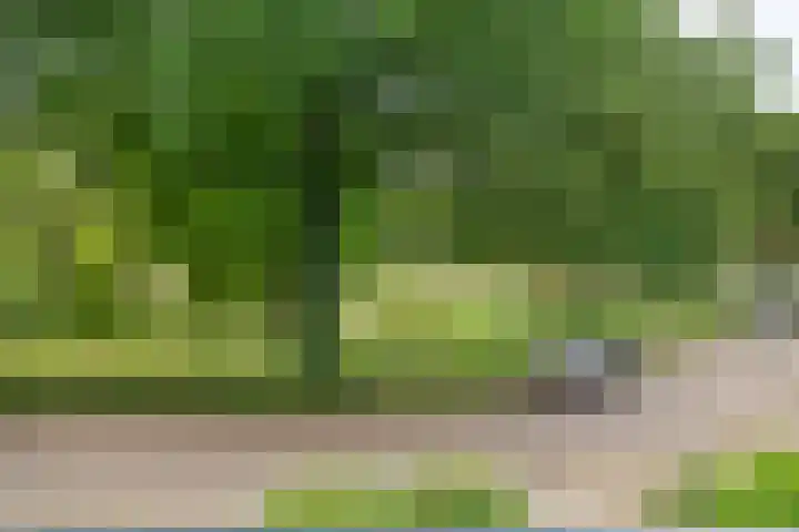 Tolhuis 2110 Nijmegen thumbnail 18