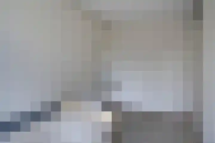 Tolhuis 2110 Nijmegen thumbnail 22