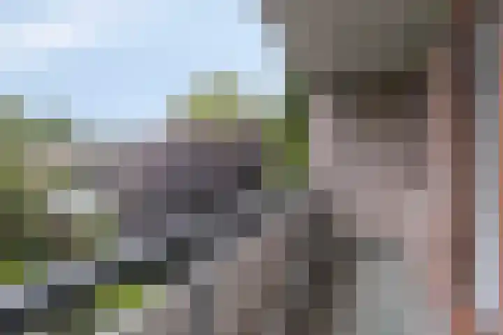 Tolhuis 2110 Nijmegen thumbnail 24
