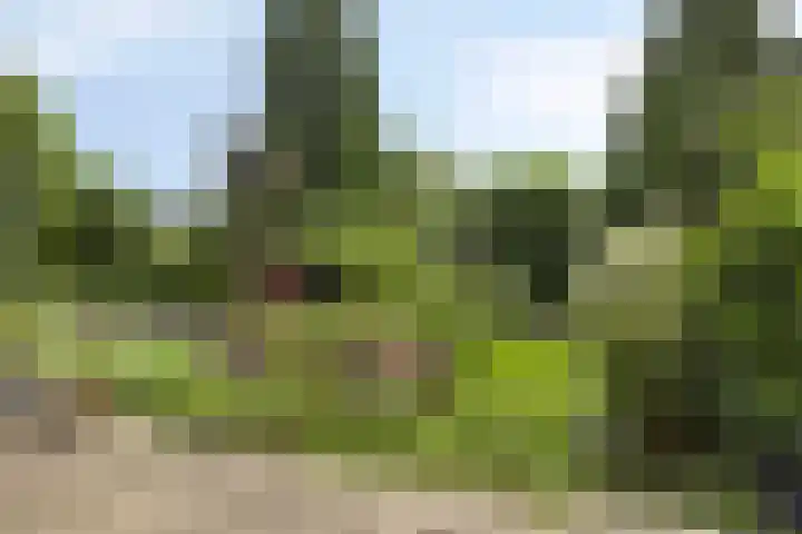 Tolhuis 2110 Nijmegen thumbnail 32